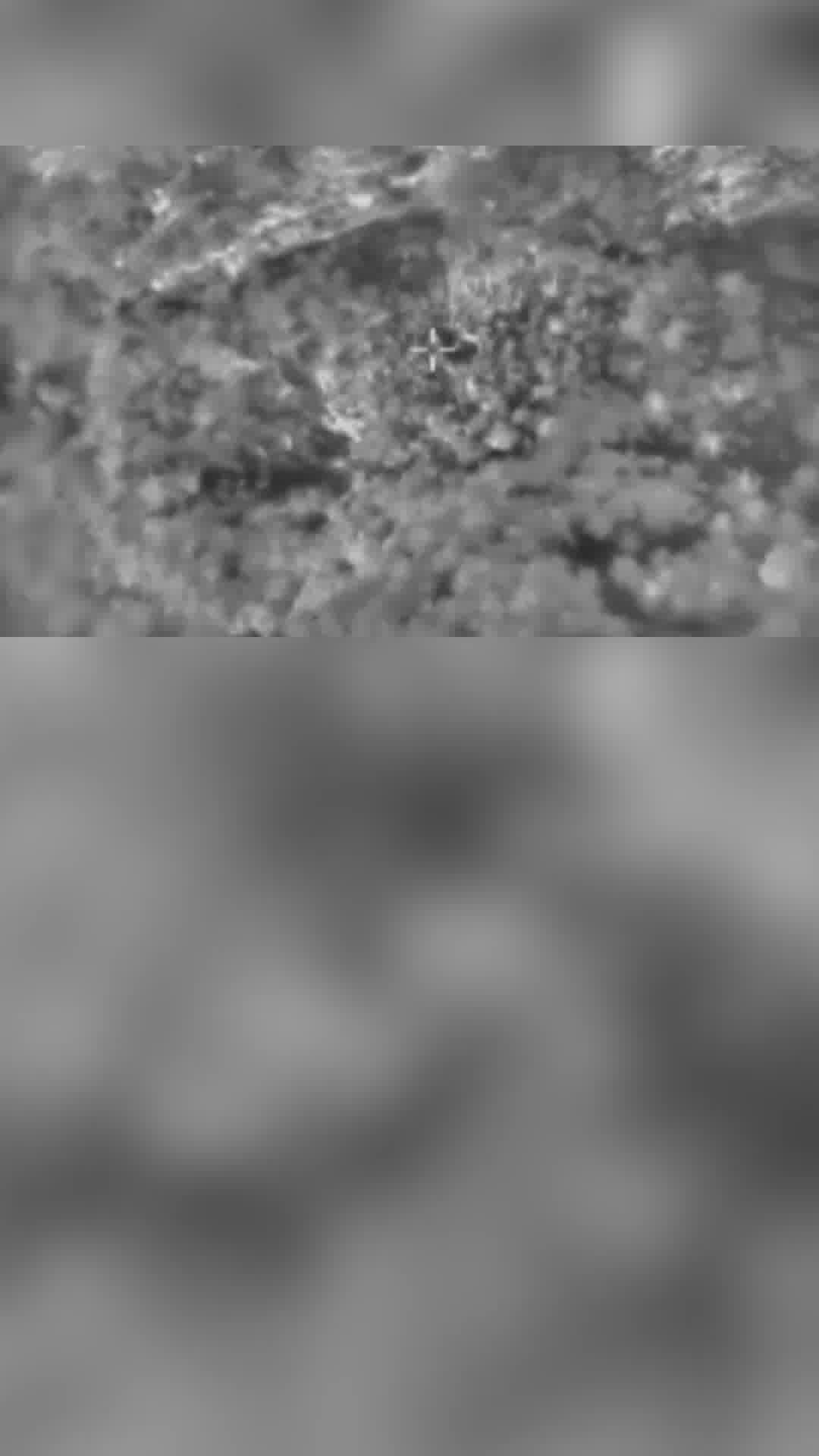 צה"ל: תקפנו פירים ששימשו את חיזבאללה לאחסון אמל"ח בדרום לבנון