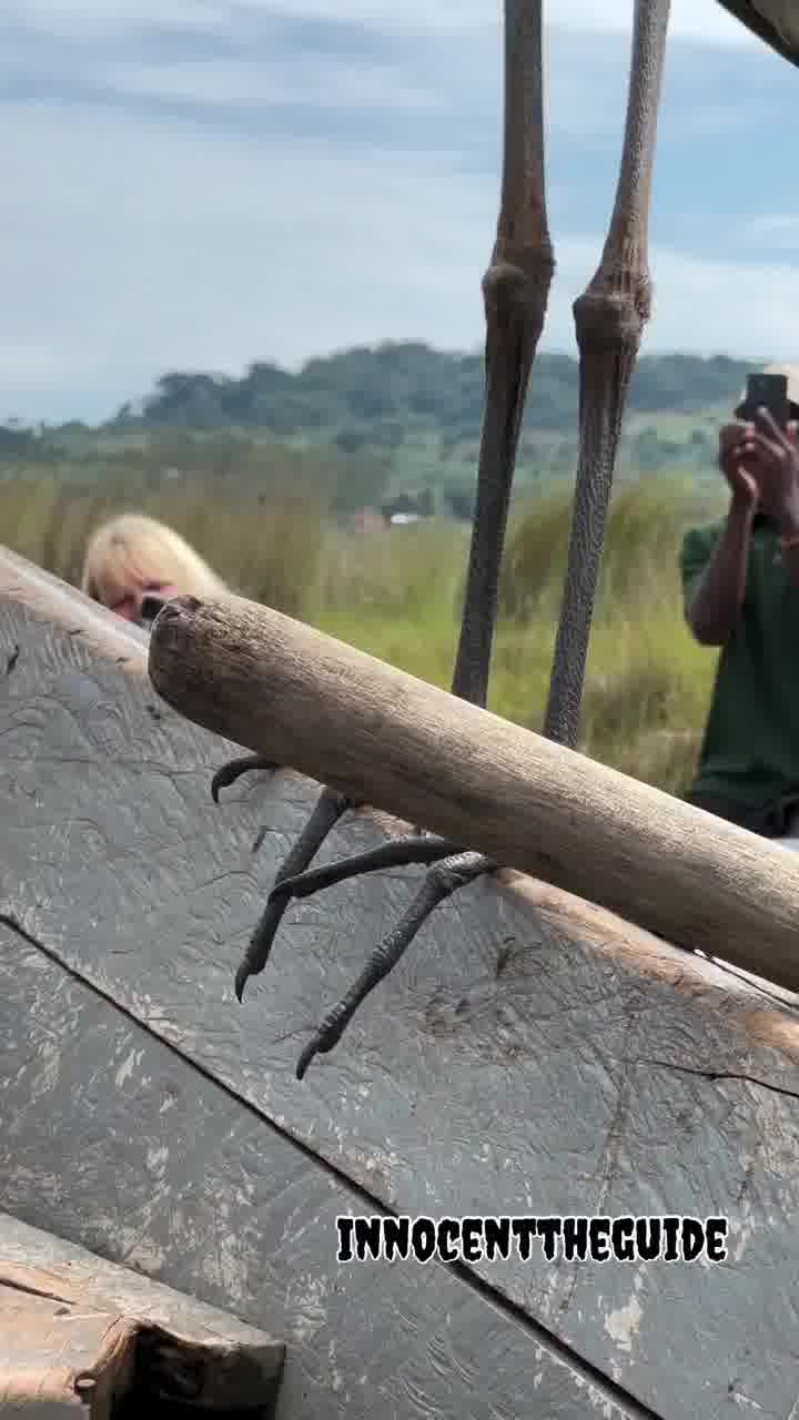 נדיר: יצאו לשוט בסירה באפריקה, והמנעלן כיבד אותם בנוכחותו