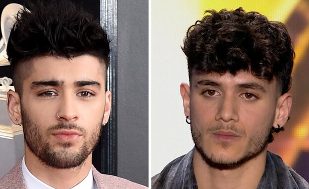 תמיר לוי, זאיין מאליק