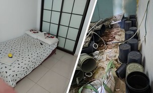 משמאל: הדירה לפני ואחרי