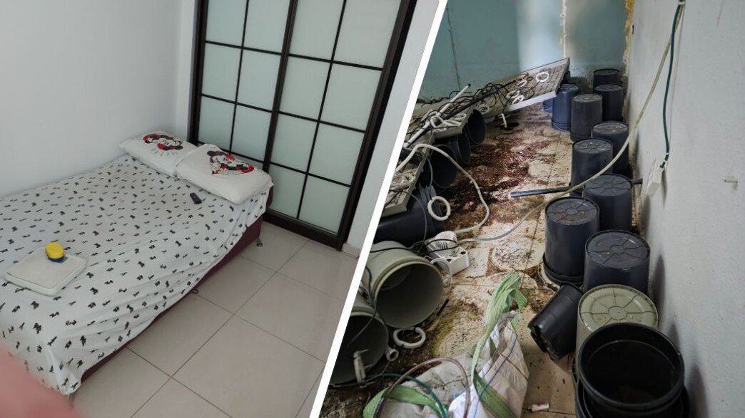 משמאל: הדירה לפני ואחרי