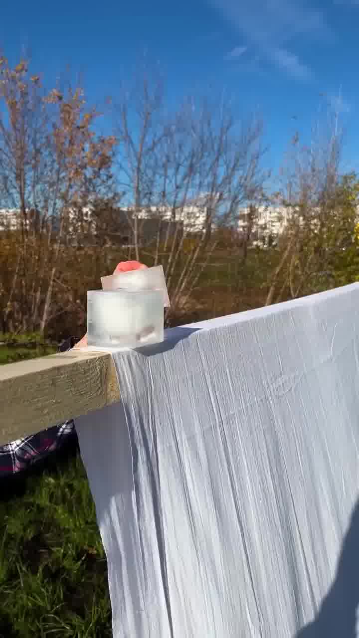 קצת השראה לא תזיק: יצרה מיצג מדהים בקרח - ושברה את הרשת