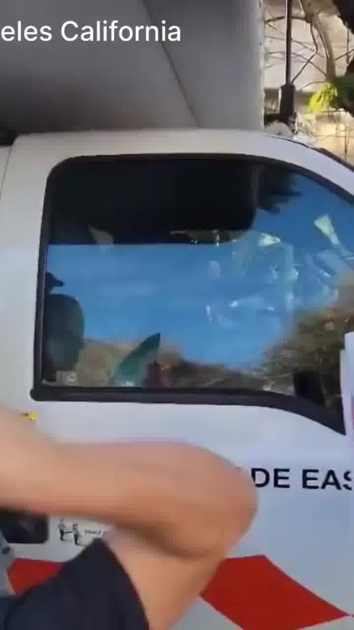 לוס אנג'לס: נהג משאית דרס מפגינים נגד המשטר באיראן