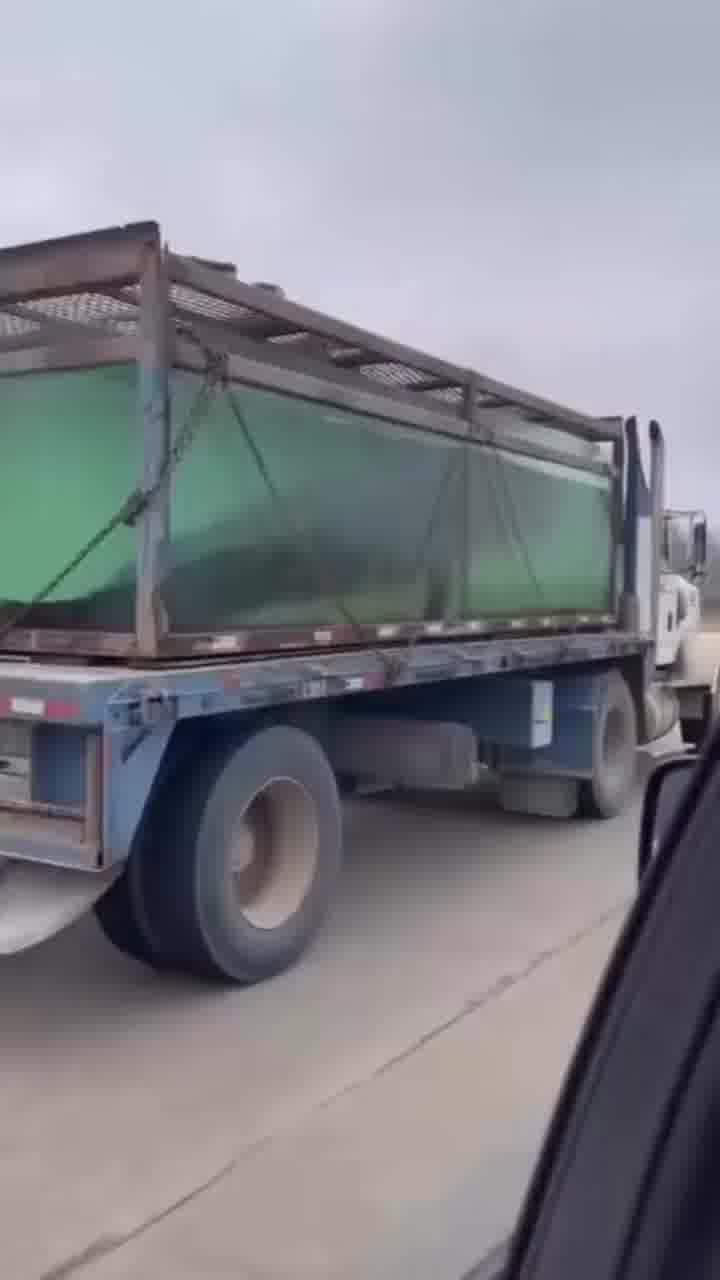 תארו לעצמכם לעבור ליד דבר כזה בדרך לעבודה