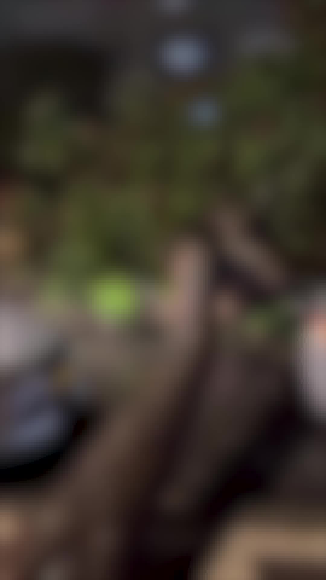 נזקי סופה באשדוד: נפילת עץ על רכבים החוסם את כל הכביש