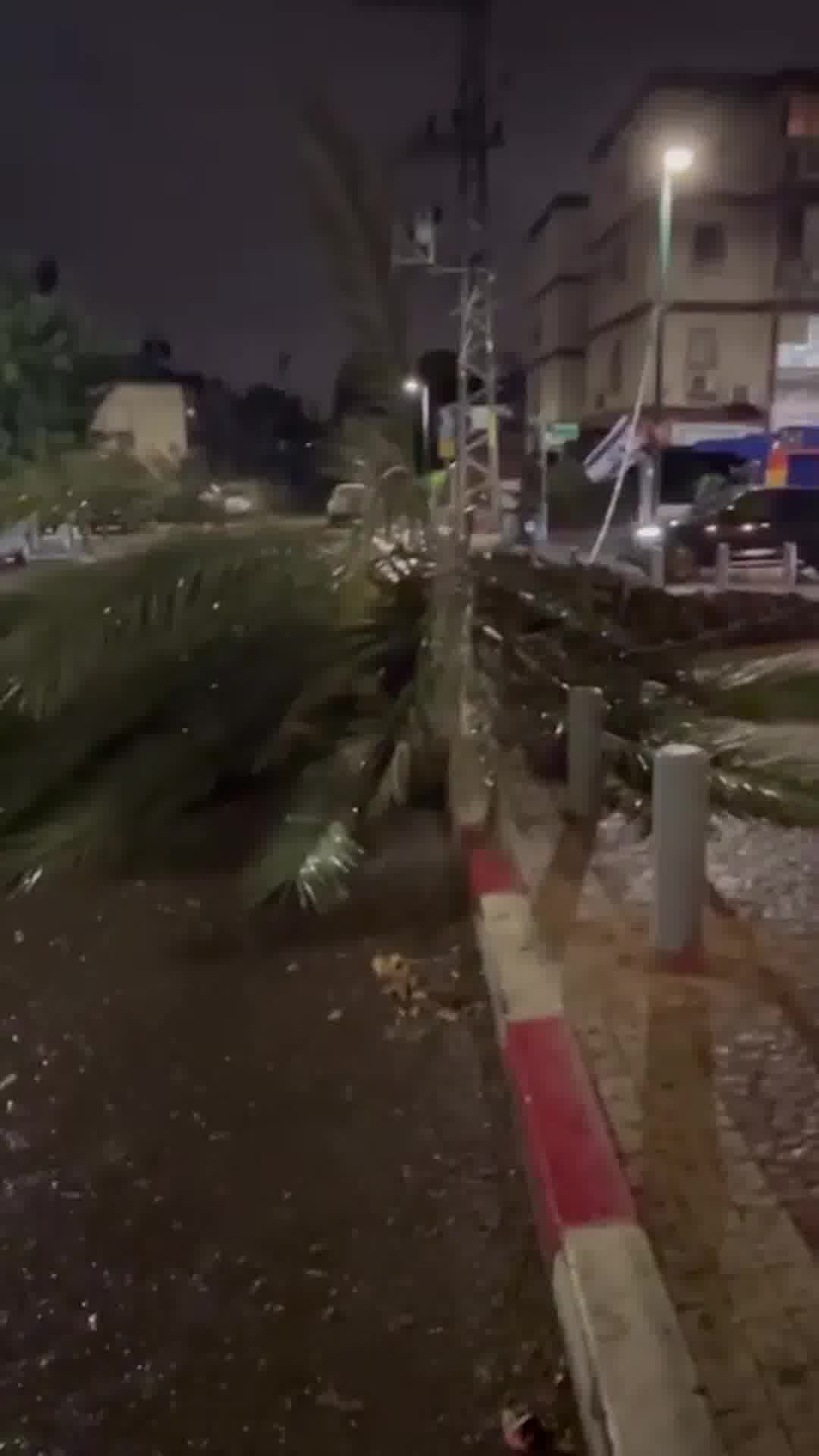 נזקי מזג האוויר הסוער: עצים קורסים ברחבי העיר רמת גן עקב רוחות עזות 