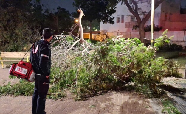 אישה בת 70 נפגעה מענף גדול שנפל בראשון לציון