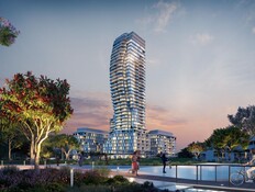 אשירה שדה דב