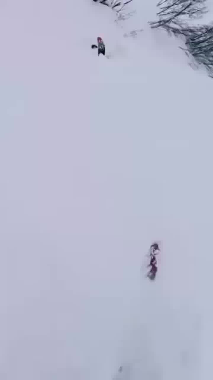 תיעוד מדהים משוויץ: גולש נקבר במפולת שלגים. גולש אחר שעבר במקום שם לב ליד מבצבצת והציל אותו