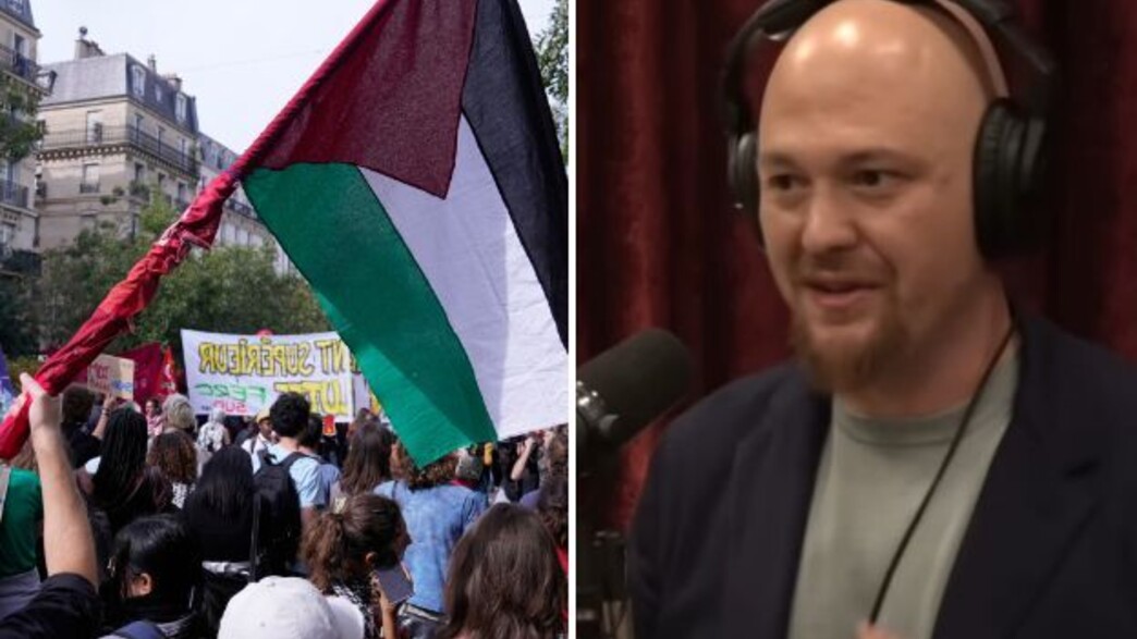 אמג'ד מסעד, הפגנה למען פלסטין אמג'ד מסעד, הפגנה למען פלסטין