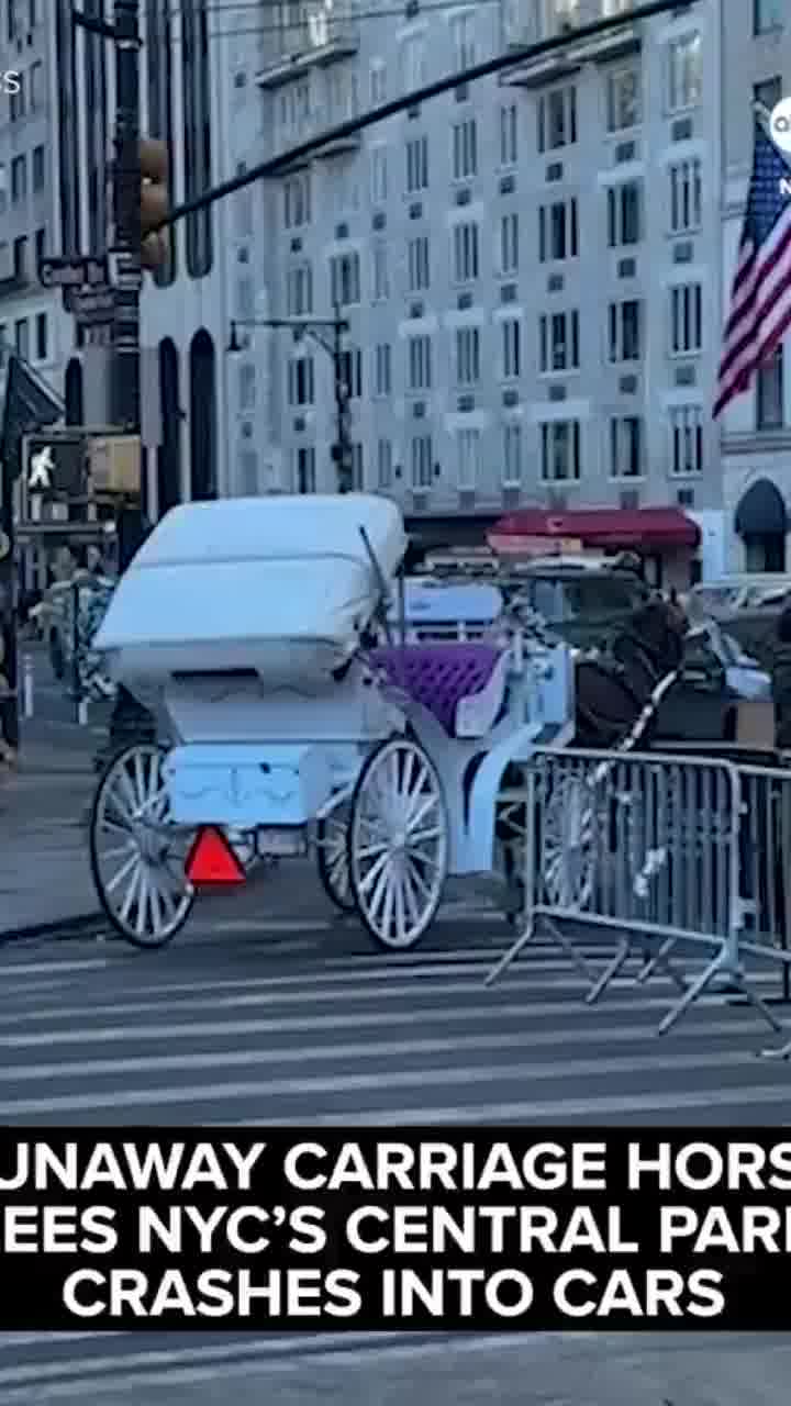 ניו יורק: הסוס נבהל והכרכרה יצאה משליטה