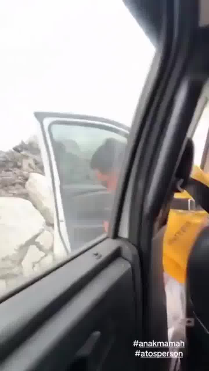 אנחנו יודעים שזה מפתה, אבל אל תתעסקו עם צרעות