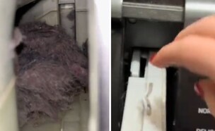 "זה גאוני": טריק פשוט לניקוי מייבש הכביסה משגע את הרשת (צילום: מתוך הרשתות החברתיות לפי סעיף 27א' לחוק זכויות יוצרים)