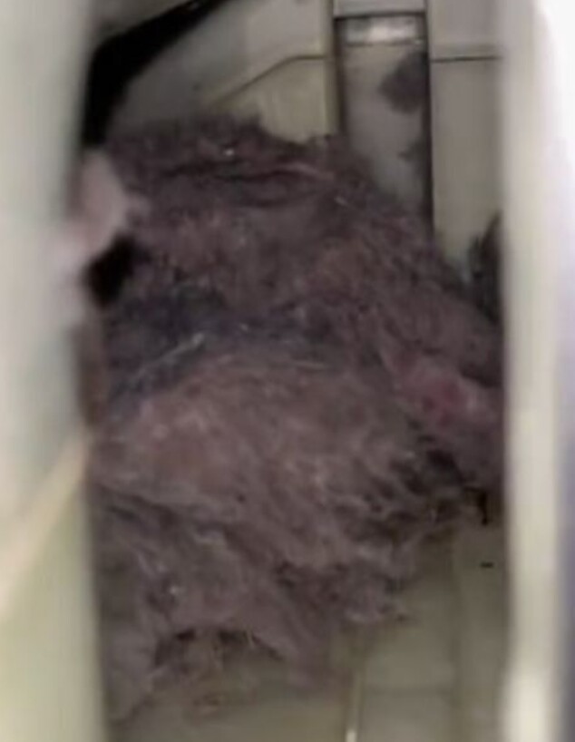 "זה גאוני": טריק פשוט לניקוי מייבש הכביסה משגע את הרשת