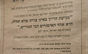 פשקוויל היריון (צילום: לפי 27א לחוק זכויות יוצרים)