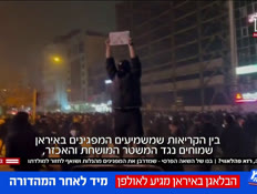 20iranprince_vtr2_n20260114_v1 (צילום: חדשות)