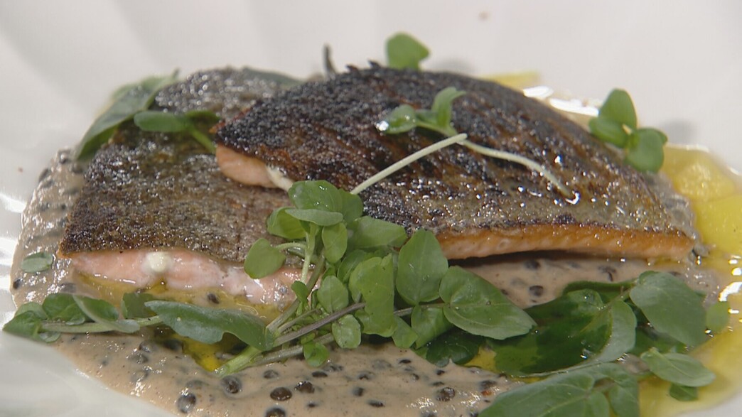 פילה פורל על עדשים בלוגה בקרם קפה ופטריות