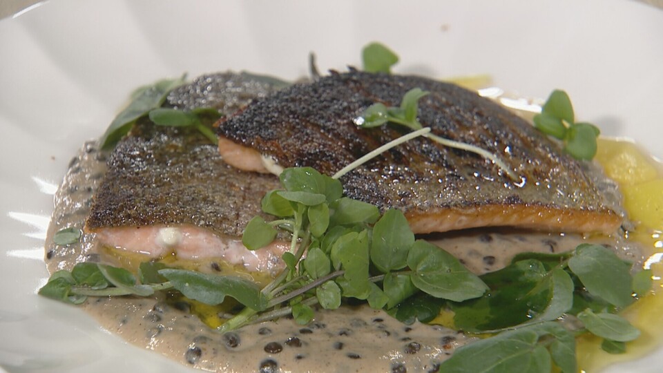 פילה פורל על עדשים בלוגה בקרם קפה ופטריות (צילום: עוטף ישראל, קשת 12)