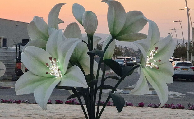 כיכרות ירוחם