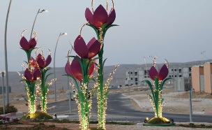 כיכרות ירוחם (צילום: MK ILLUMINATION  )