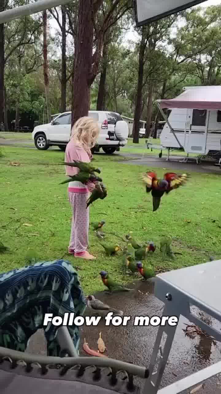 "תפסיקי לרוץ!": כשהילדה שלכם לא בנויה לאוסטרליה