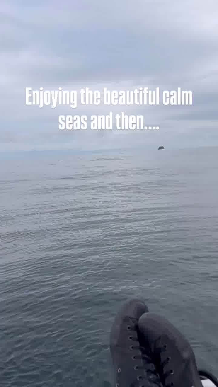 שהשקט של הים לא יעבוד עליכם