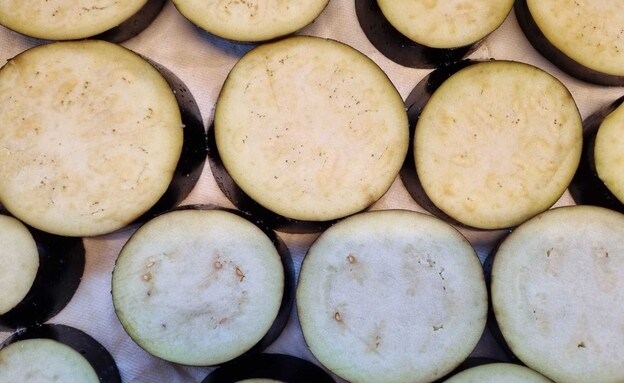 חצילים בנינג'ה - אייר פרייר