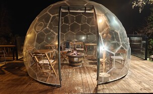 טיבון (צילום: אורלי גנוסר)