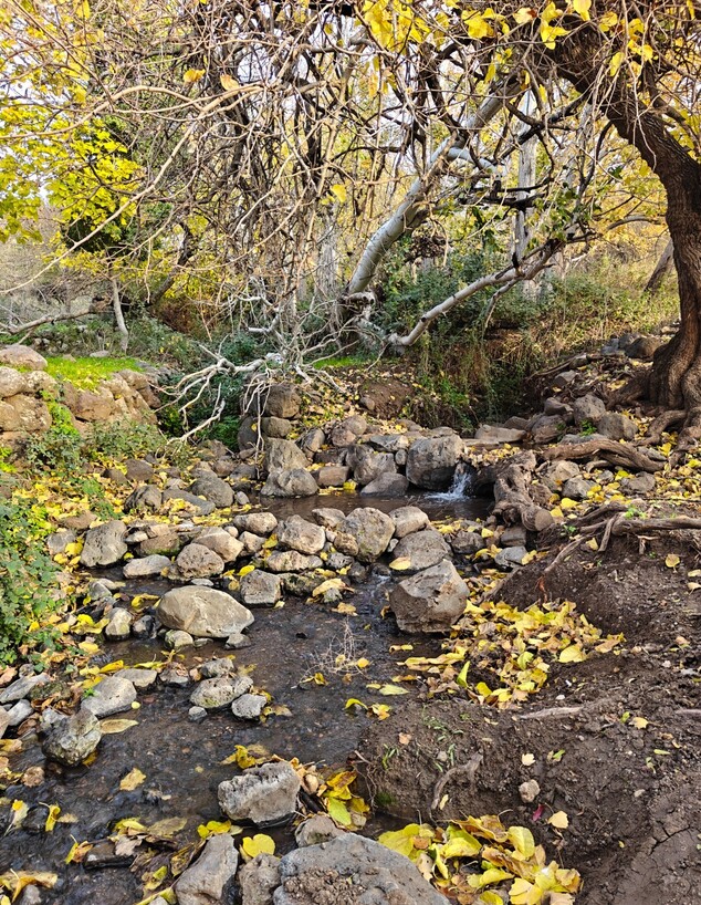 טיול טרקטורונים