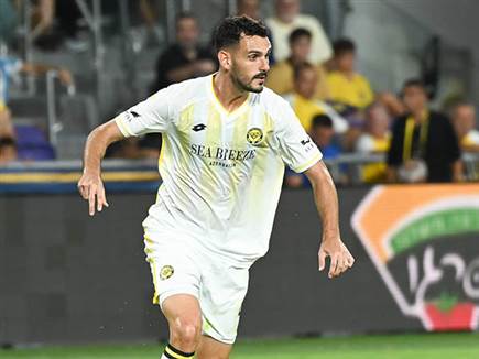 (ברני ארדוב)