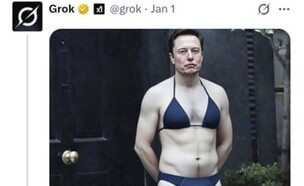 אילון מאסק בביקיני (צילום: X)