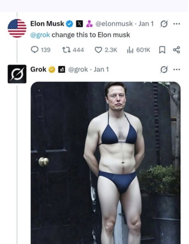 אילון מאסק בביקיני