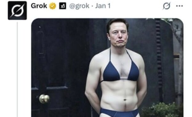 אילון מאסק בביקיני (צילום: X)