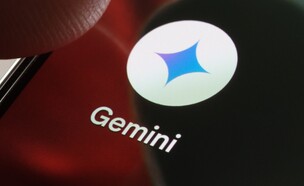 ג'מיני (צילום: mundissima, shutterstock)