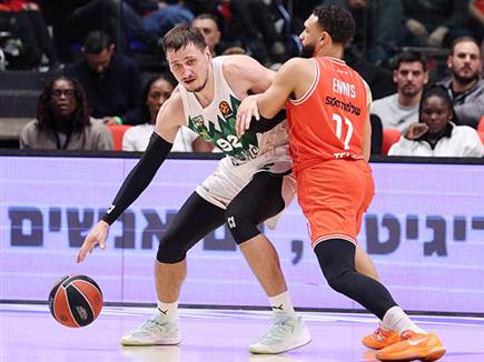 (צילום: אלן שיבר)