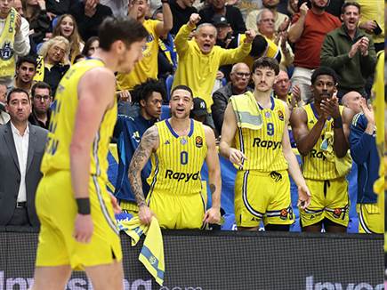 דרמה וחגיגה (אלן שיבר)