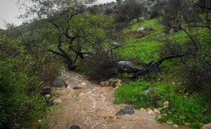 נחל עמוד  (צילום: מיכאל גלעדי, פלאש 90)