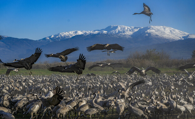 אגם החולה (צילום: אייל מרגולין, פלאש 90)