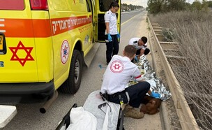 גבר ושני כלבים נפצעו לאחר שהותקפו על ידי חזיר בר (צילום: דוברות מד"א)