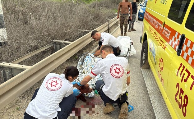 גבר ושני כלבים נפצעו לאחר שהותקפו על ידי חזיר בר