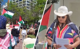 הצהרה נגד תיירים ישראלים ניו זילנד (צילום: לפי סעיף 27א' לחוק זכויות יוצרים)