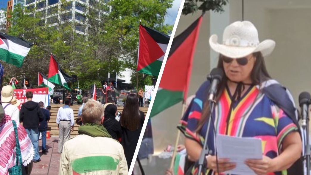 הצהרה נגד תיירים ישראלים ניו זילנד