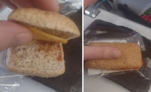 אוכל מגעיל במטוס (צילום: צילום מסך)