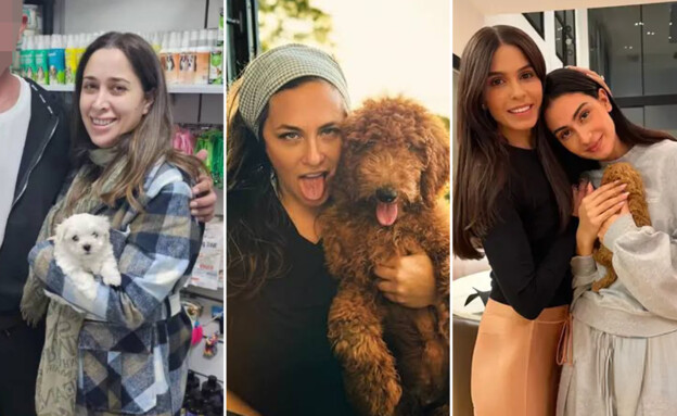 הסלבס שקנו כלבים  (צילום: לפי סעיף 27 א')