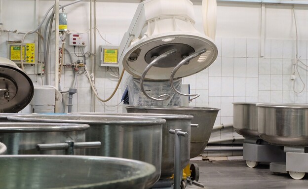 מלוש תעשייתי