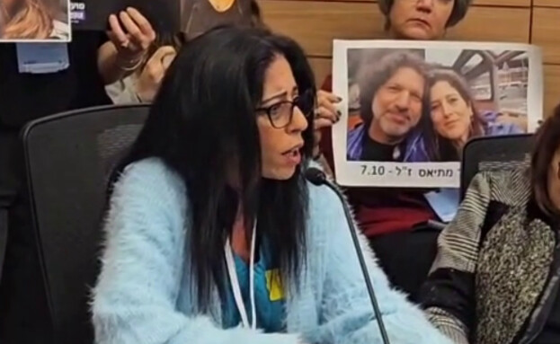 עינב צנגאוקר בדיון בוועדה לקידום ועדת חקירה ממלכתי