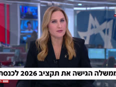 20amaliawall_vtr2_n20260119_v1 (צילום: חדשות)