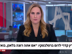 20nasrinn_vtr2_n20260119_v1 (צילום: חדשות)