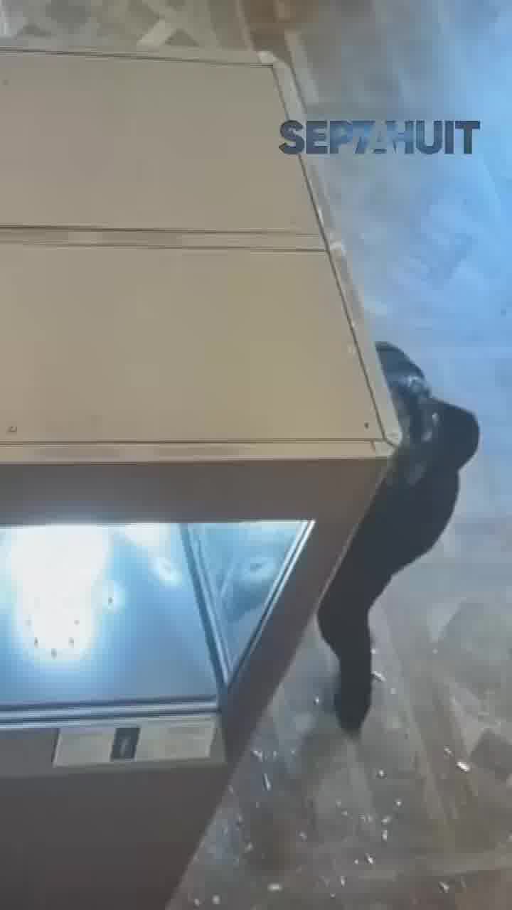 מטורף: תיעוד מהשוד במוזיאון הלובר בצרפת