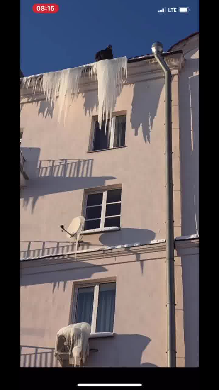 יש לי תחושה שהשכן מהקומה השלישית מסוכסך עם הוועד